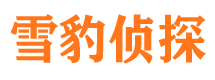 锦江市婚姻出轨调查